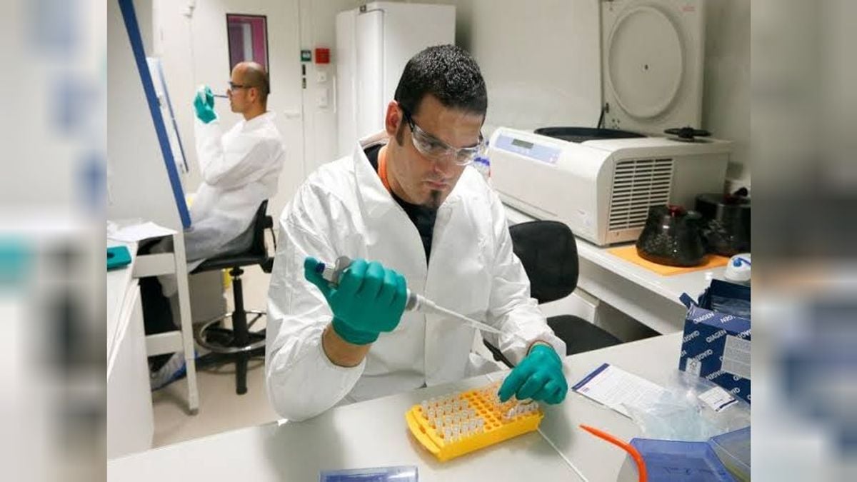 Russian scientists develop carbon fiber material to purify water and air