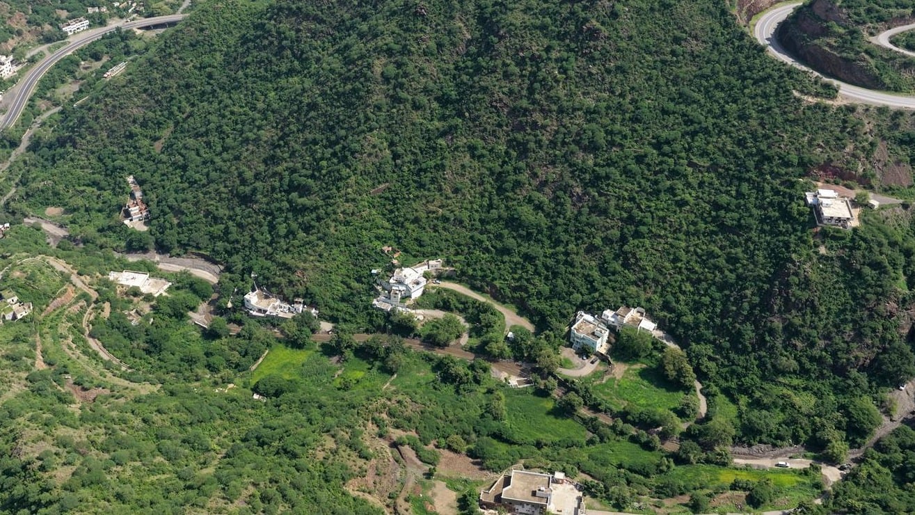 Asir emerges as Saudi Arabia’s coffee cultivation leader