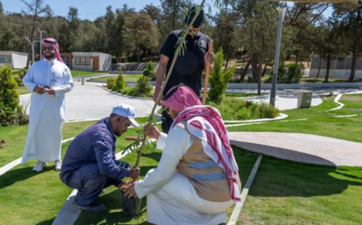 Plus d’un million d’arbres plantés à Al-Baha et ses environs