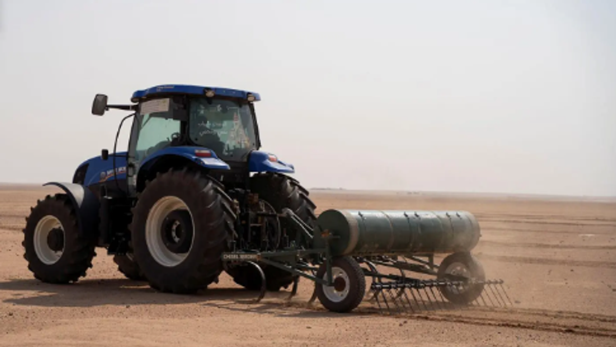 Lancement de la campagne de semis pour restaurer les pâturages à Jubail