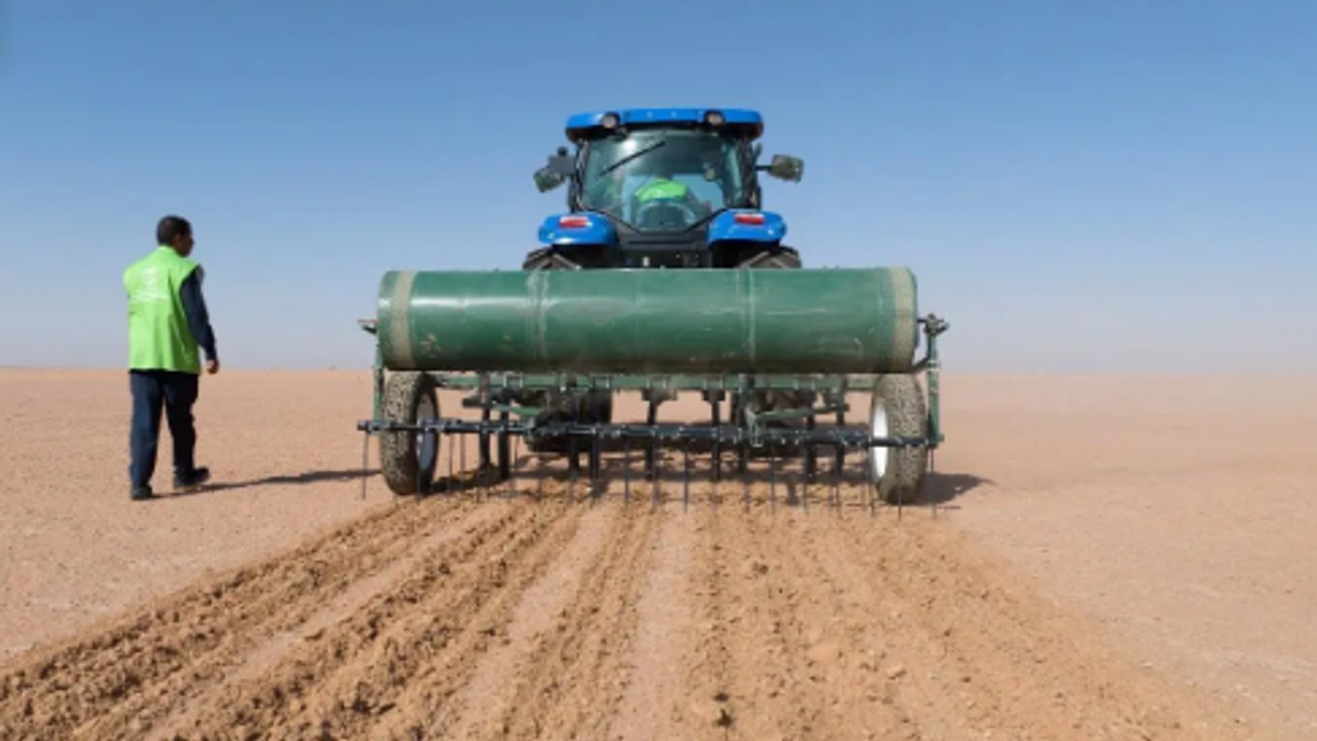 Lancement de la campagne de semis de plantes sauvages à Hafar al-Batin
