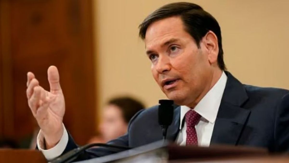 US senator says Whitkoff's meeting with Zelensky was positive, ideas to be shared with Russia