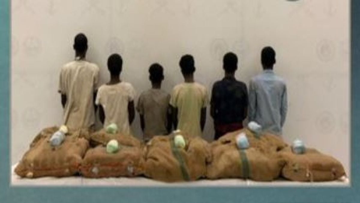 جازان: چھے ایتھوپیائی باشندے 180 کلوگرام قات اسمگل کرتے گرفتار