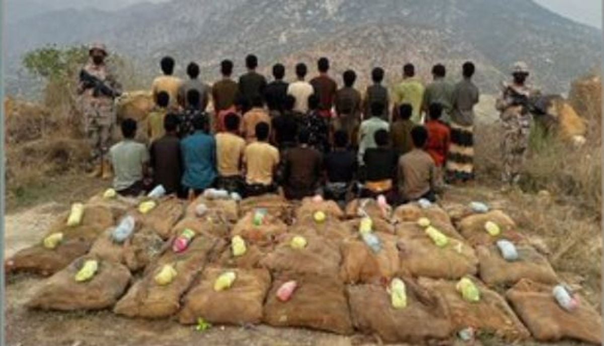 31 Warga Yaman Ditangkap karena Selundupkan Daun Khat di Jazan