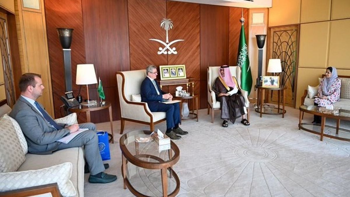 Saudi ambassador in Cairo meets new Russian envoy to discuss shared interests