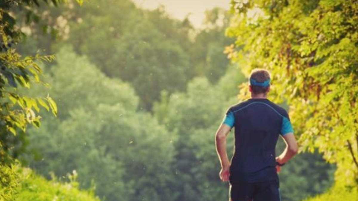 Study finds 30 minutes of daily activity may lower cancer risk
