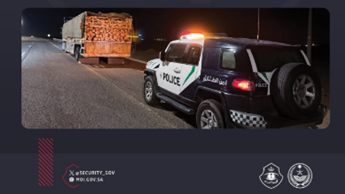 असीर और जौफ में बिना अनुमति डेरा डालने, स्थानीय लकड़ी बेचने पर कार्रवाई
