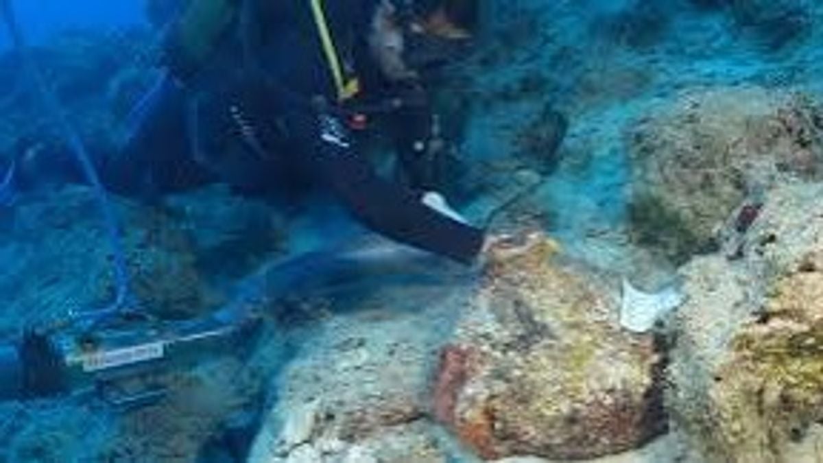 Oldest Bronze Age merchant shipwreck discovered off Turkey