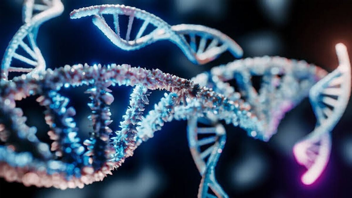 Researchers uncover molecular mechanism behind rare immune disorder linked to STAT3 gene