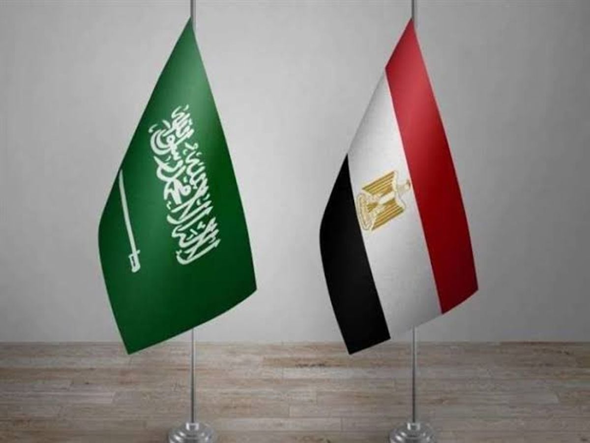 مستشار سياسي يوضح أهمية الدعم المصري للمملكة ضد الحوثيين