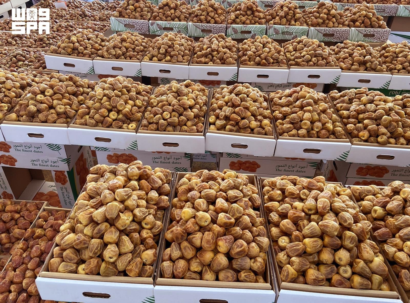 Le sucre domine les ventes au marché des dattes de Boukairia