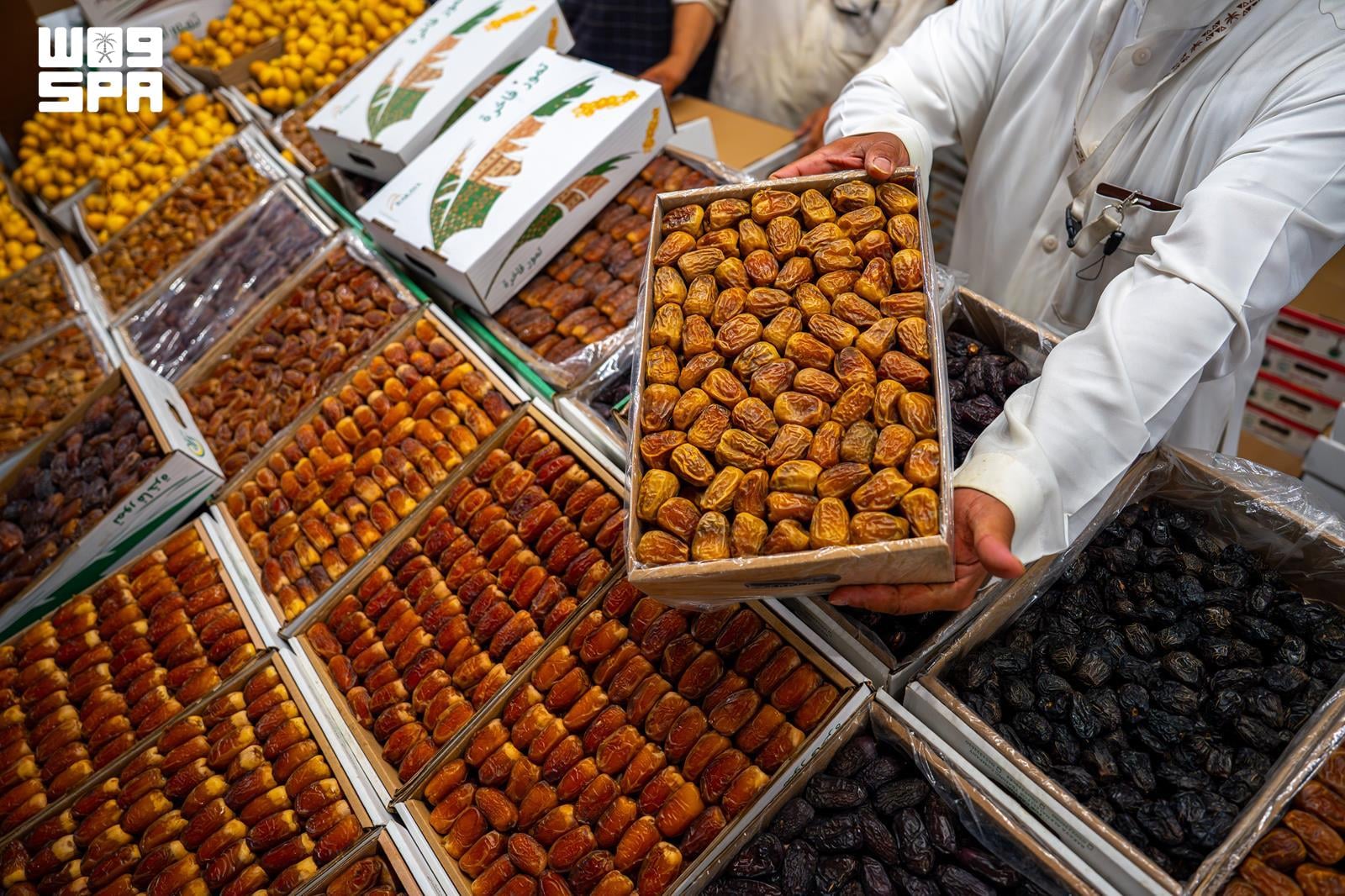 Ouverture du marché des dattes à Riyad samedi prochain