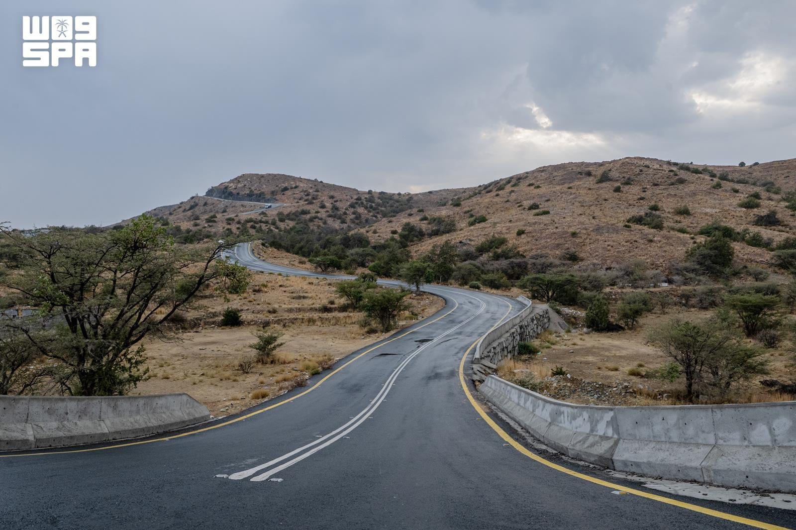 Scattered rain and thunderstorms sweep Al-Baha region
