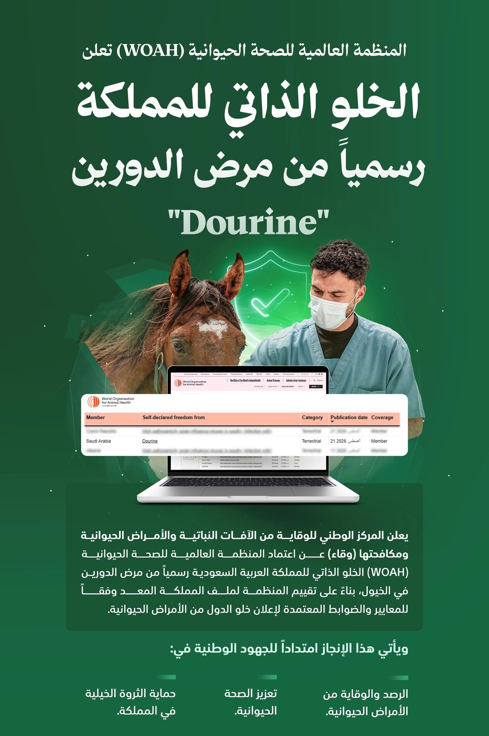 سعودی عرب میں گھوڑوں کی بیماری 'الدورین' کا خاتمہ عالمی سطح پر تسلیم