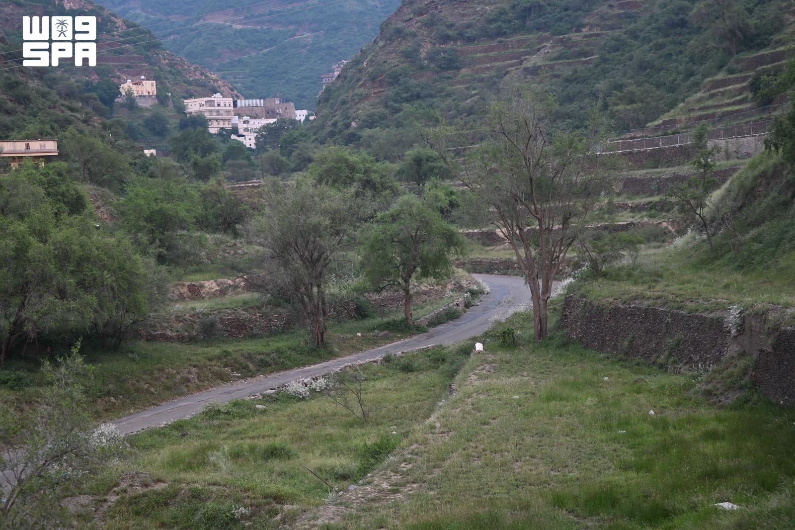 Jinn Valley in Al-Dayer flourishes with greenery, draws nature lovers in Jazan