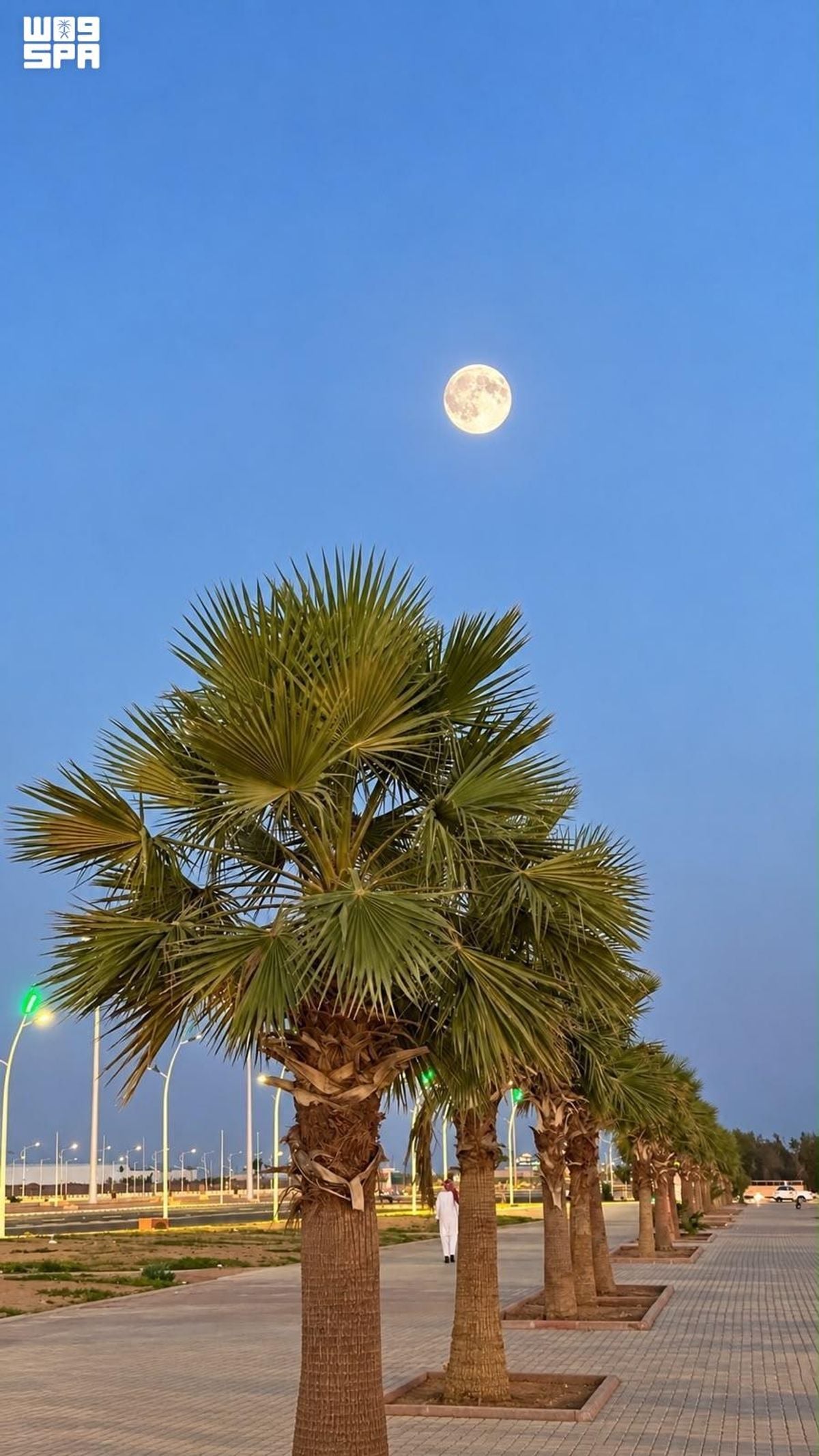 Pleine lune brillante dans le ciel d’Arabie saoudite