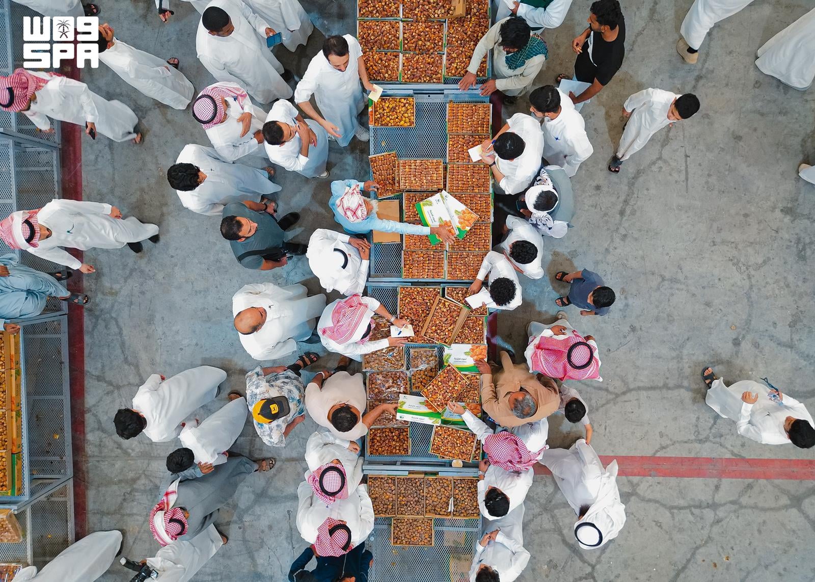 المذنب میں 70 سے زائد اقسام کی کھجوریں، مقامی معیشت کو فروغ