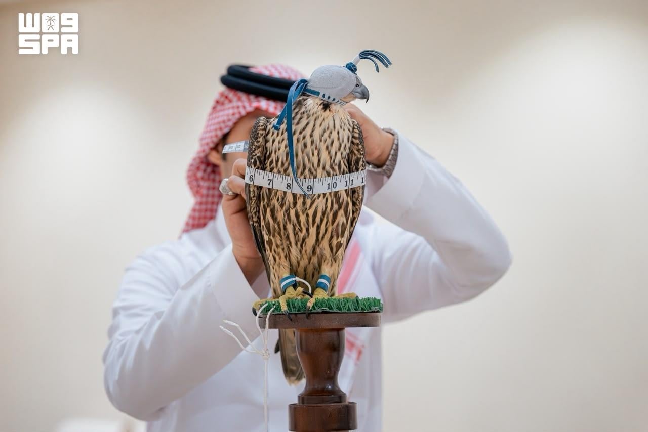 Northern Saudi Arabia welcomes migratory falcon season amid intensive preparations