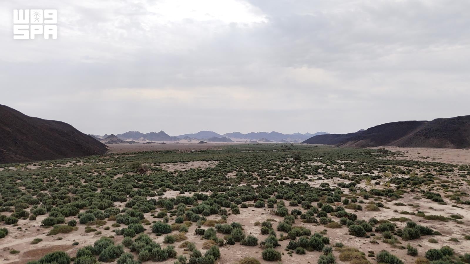 Hamd Valley links northern Madinah to Red Sea over 400 km