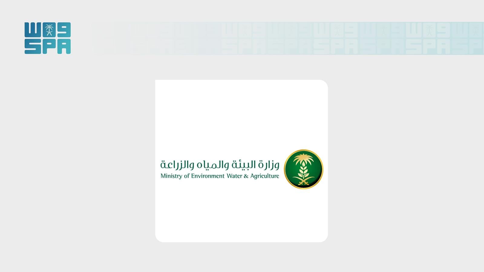بيئة الحناكية تنفذ أكثر من 15 مبادرة تطوعية بمهرجان الإبل الثالث
