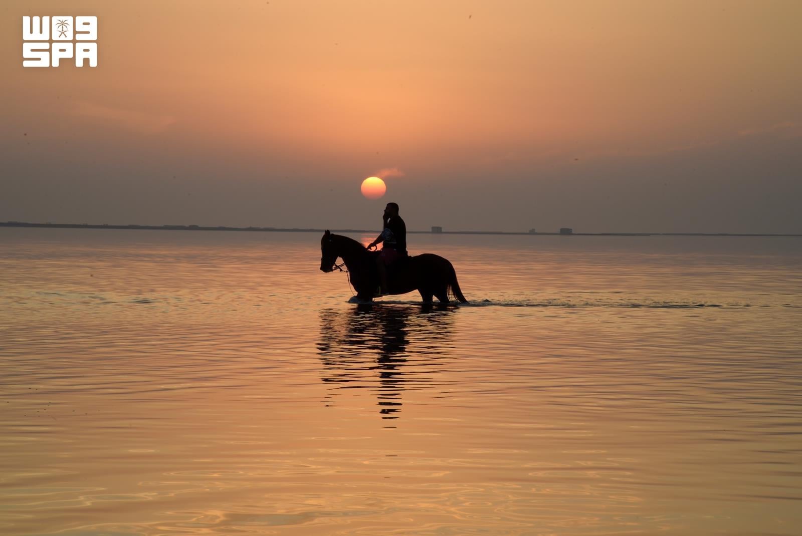 Horses cross Jeddah’s shores at sunset in stunning photo series