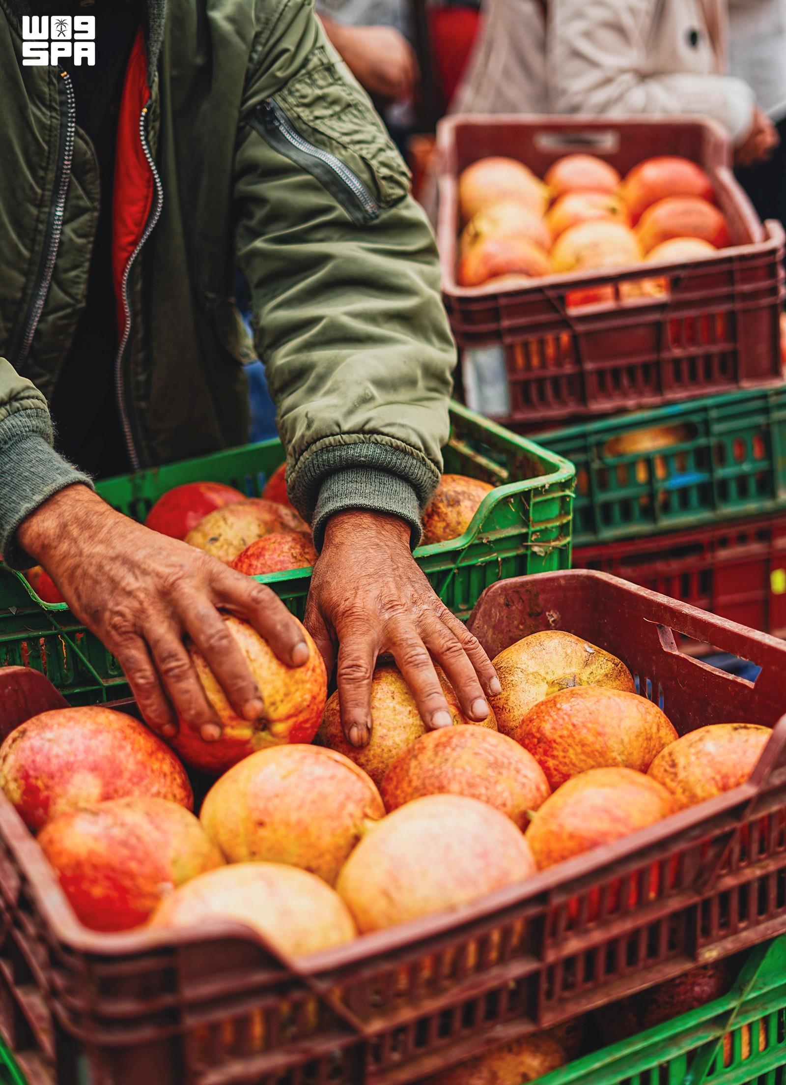 Tunisian city of Testour hosts 10th Pomegranate Festival with 250 exhibitors