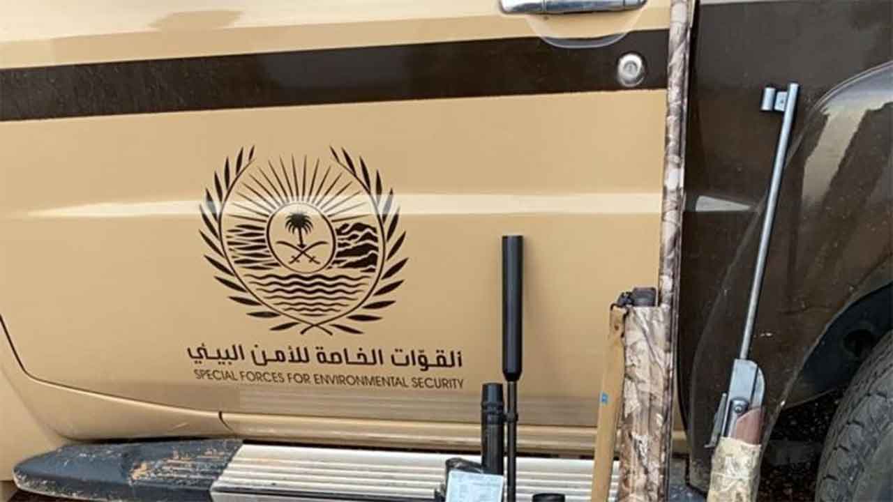 بالفيديو.. ضبط 28 مخالفًا لنظام البيئة خلال أسبوع