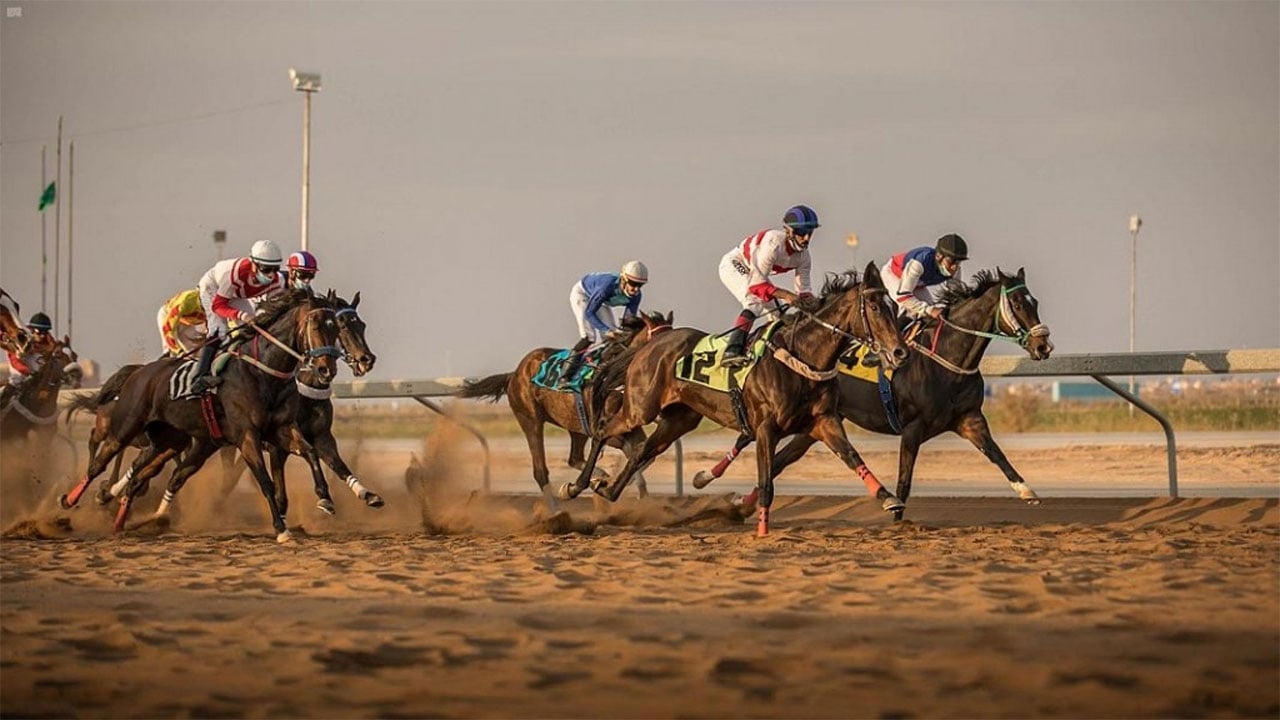 ميدان الملك سعود للفروسية بمنطقة القصيم يقيم حفل سباقه السابع عشر
