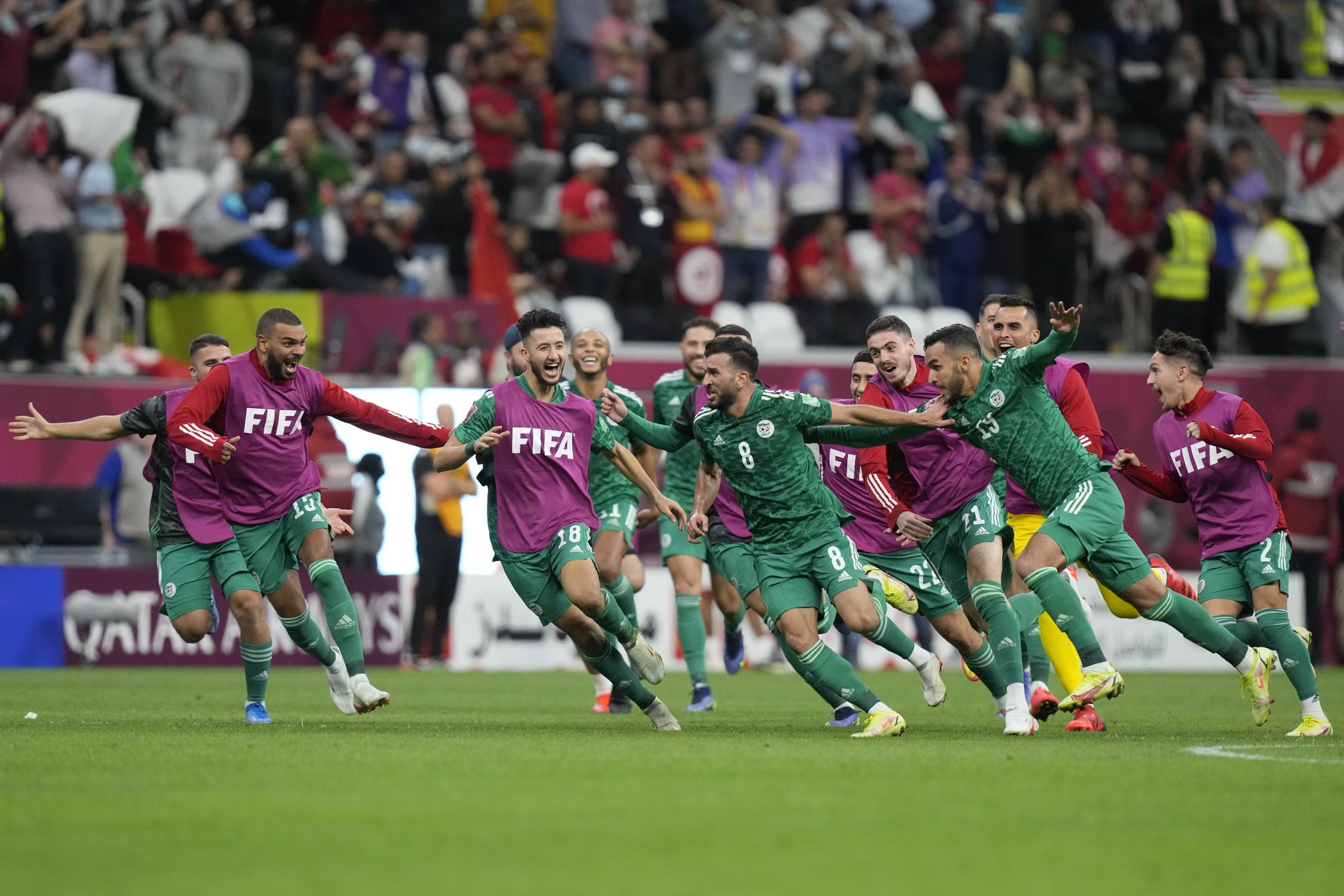 صنع في أوروبا.. كيف تحوَّل منتخب الجزائر إلى مرعب الكبار؟