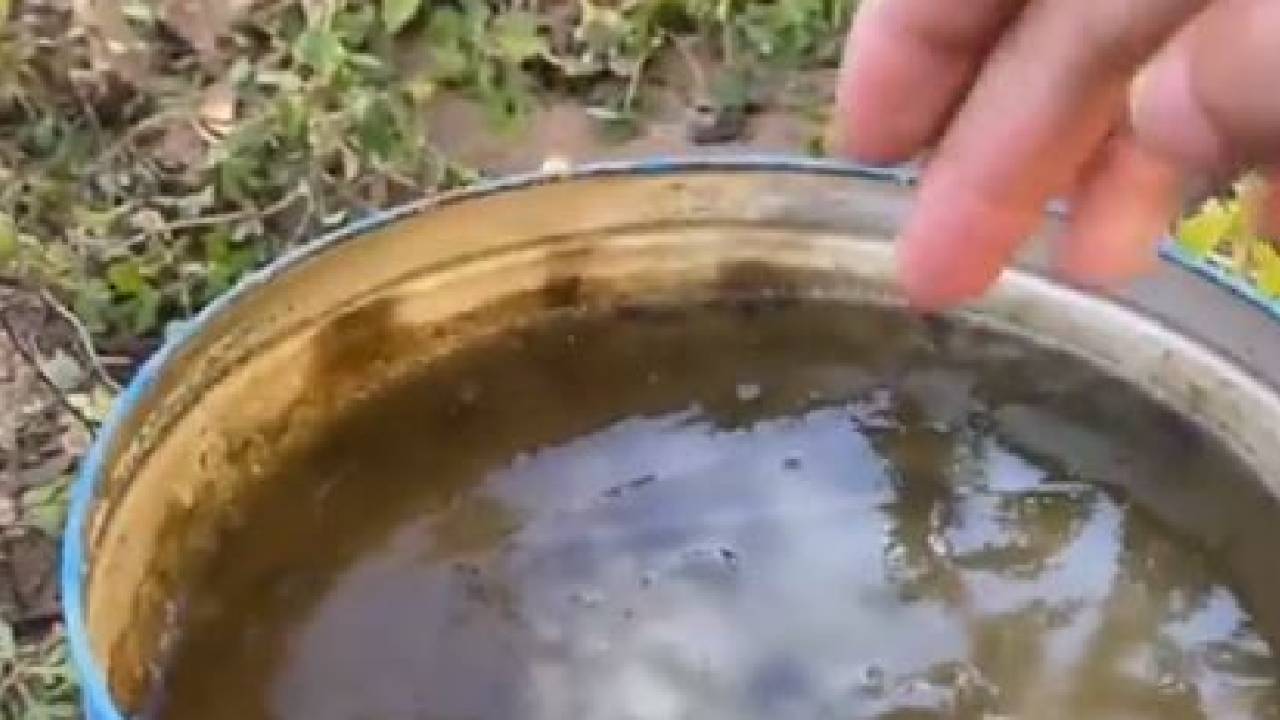 بعد تسجيلها 6 درجات تحت الصفر.. مقطع يوثق تجمُّد المياه في طريف