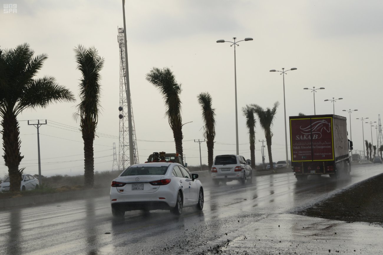 الأرصاد: سحب رعدية ممطرة على 5 مناطق وضباب على المرتفعات