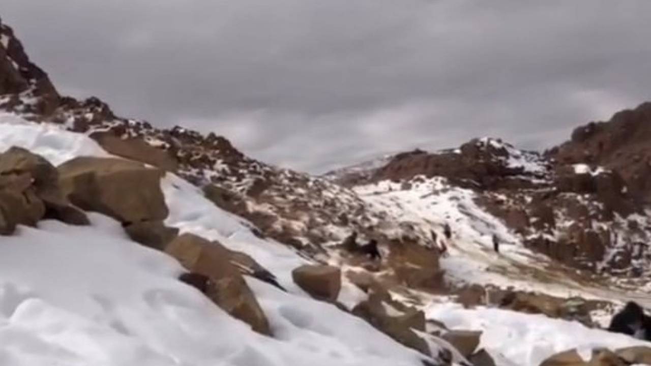 بالفيديو.. تساقط ثلوج على طريف.. والأرصاد تتوقع استمرارها على 3 مناطق اليوم