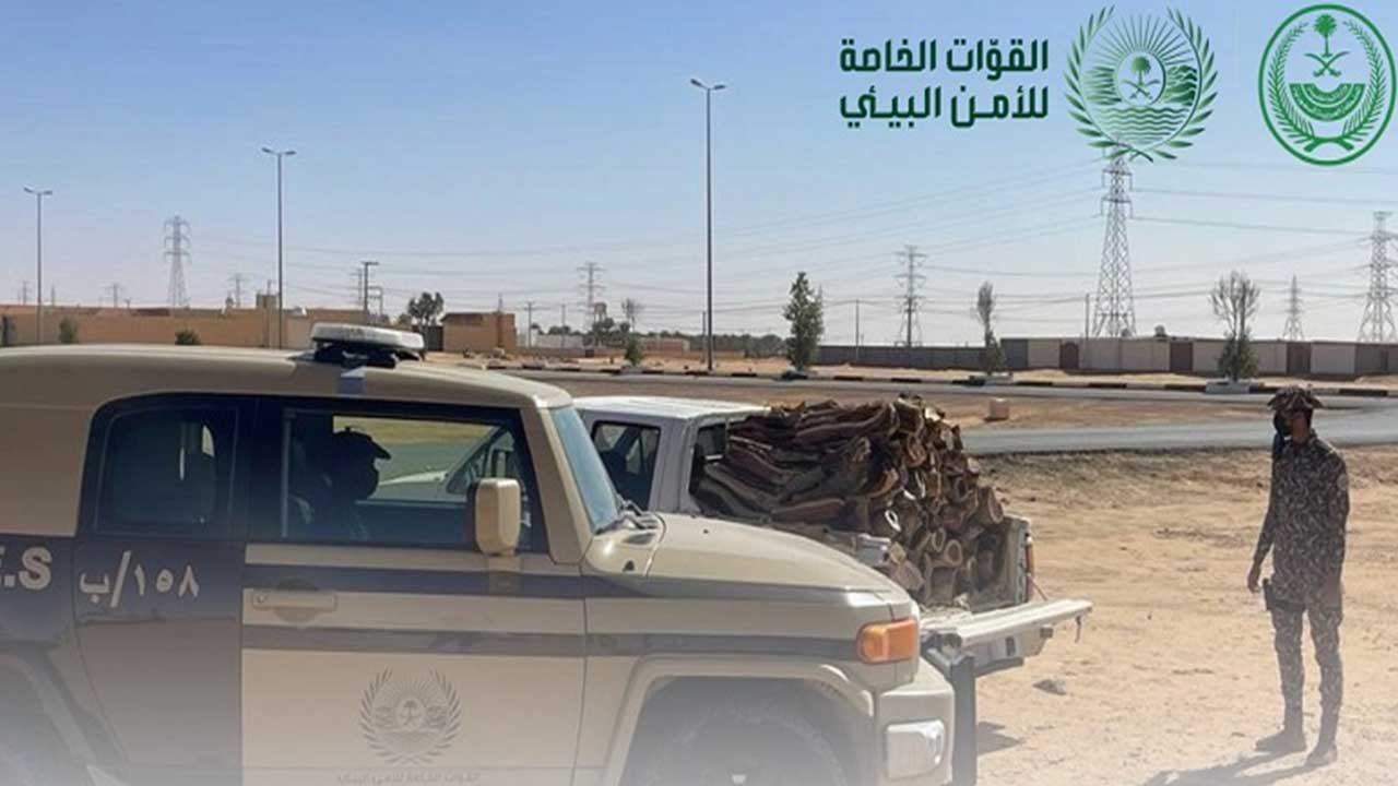 توقيف 12 مخالفًا لارتكابهم مخالفات رعي.. وهذه العقوبات تنتظرهم