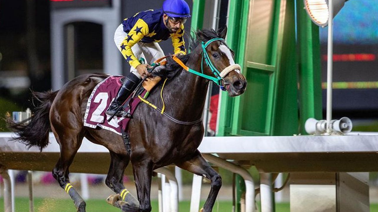 ميدان سباقات الخيل بنجران يُنظّم اليوم حفل سباقه الثامن للموسم الحالي