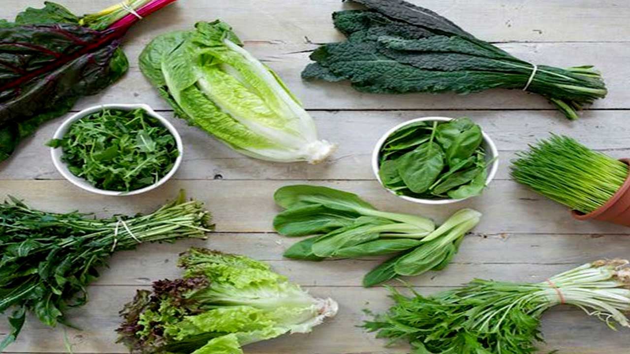 الخضراوات الورقية.. الحل الأول لإنقاص الوزن الزائد