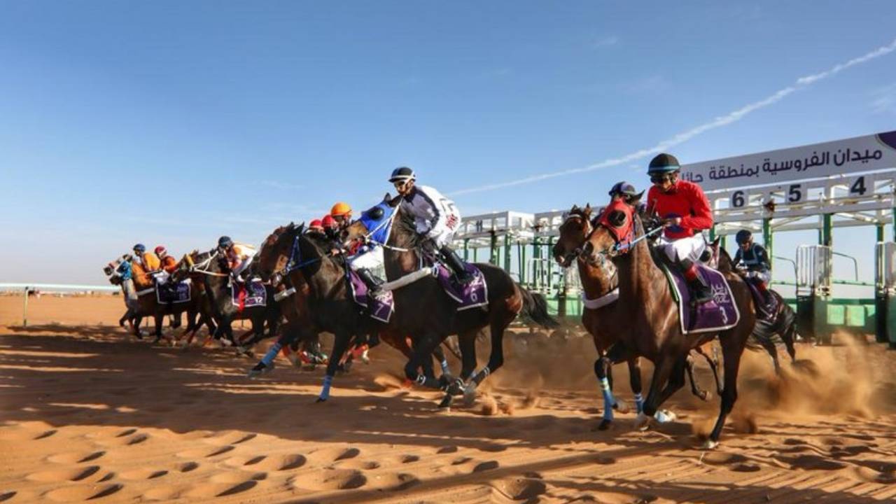 «الكسر» يخطف «سيارة» مفتوح الدرجات في حفل فروسية حائل السادس عشر