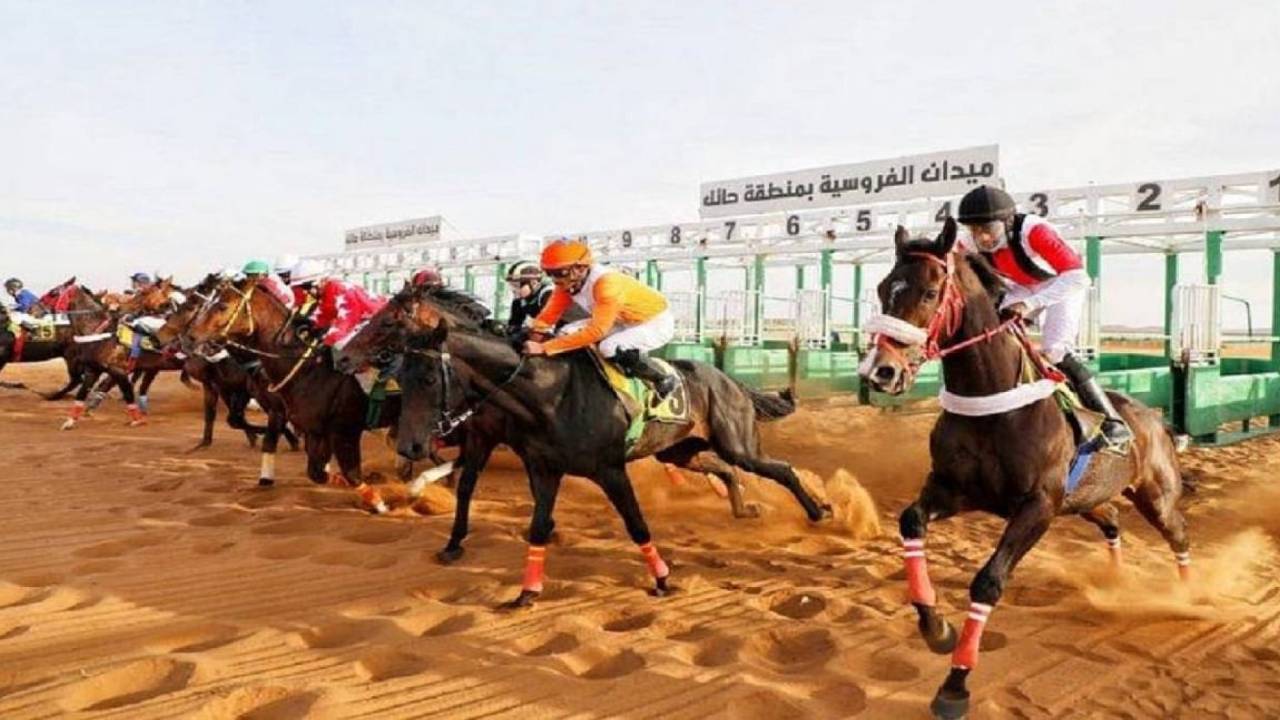 فروسية حائل تقيم غدًا حفل سباقها الرابع عشر
