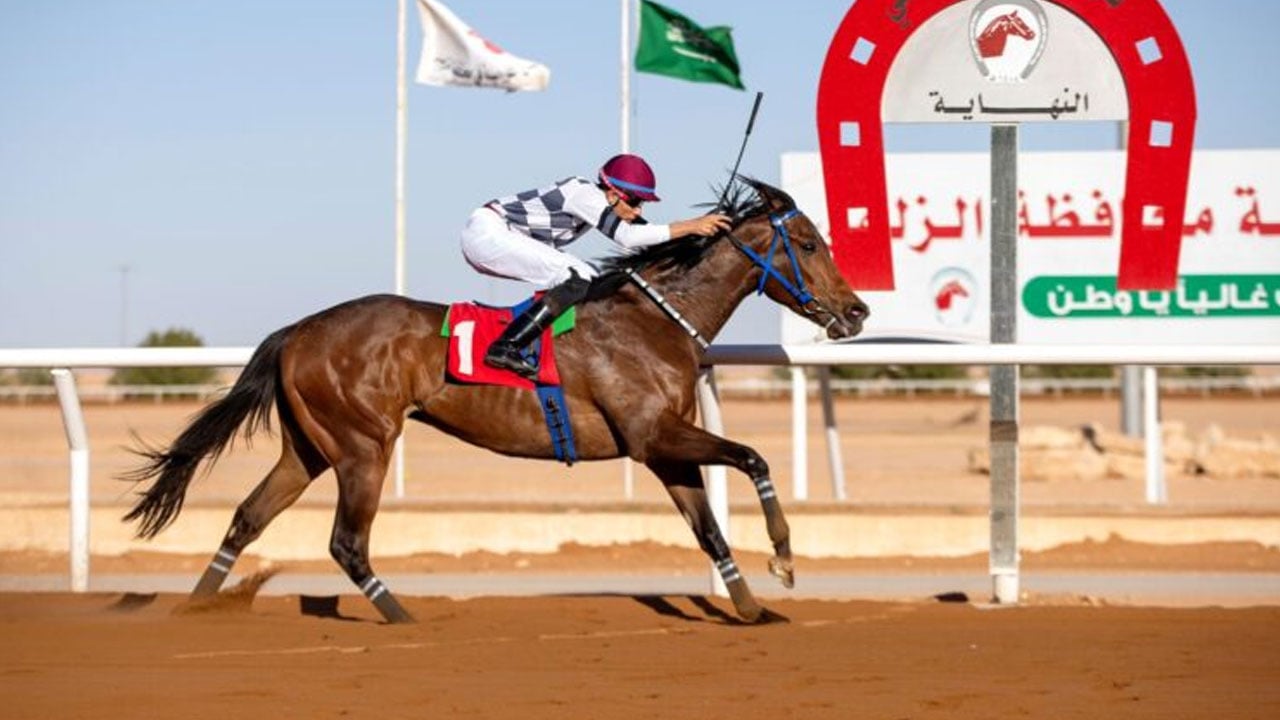 «فروسية الزلفي» تُقيم سباقها الـ17 على كأس وجوائز دعم نادي الخيل للميادين