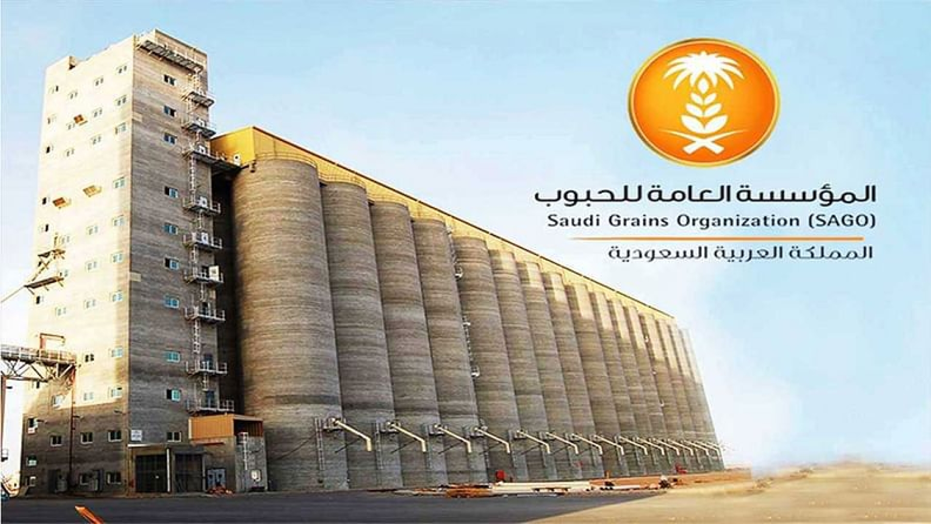 مؤسسة الحبوب تعلن عن 25 وظيفة شاغرة للجنسين