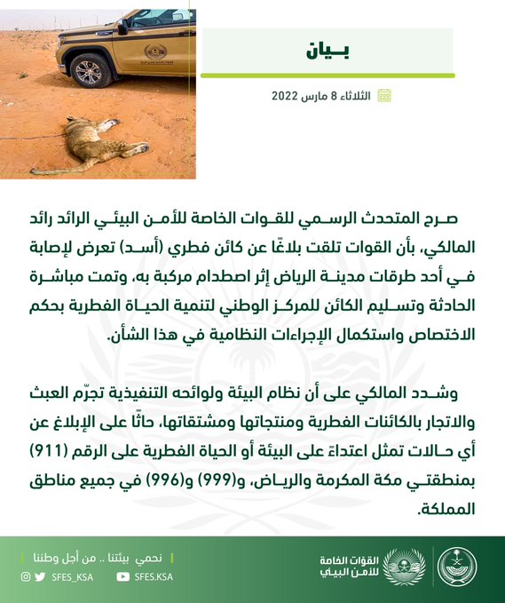 <div class="paragraphs"><p>الأمن البيئي يباشر البلاغ</p></div>