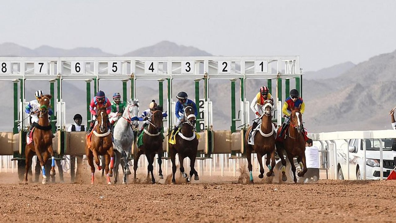 ميدان الفروسية بحائل يقيم حفل سباقه العاشر للموسم الحالي