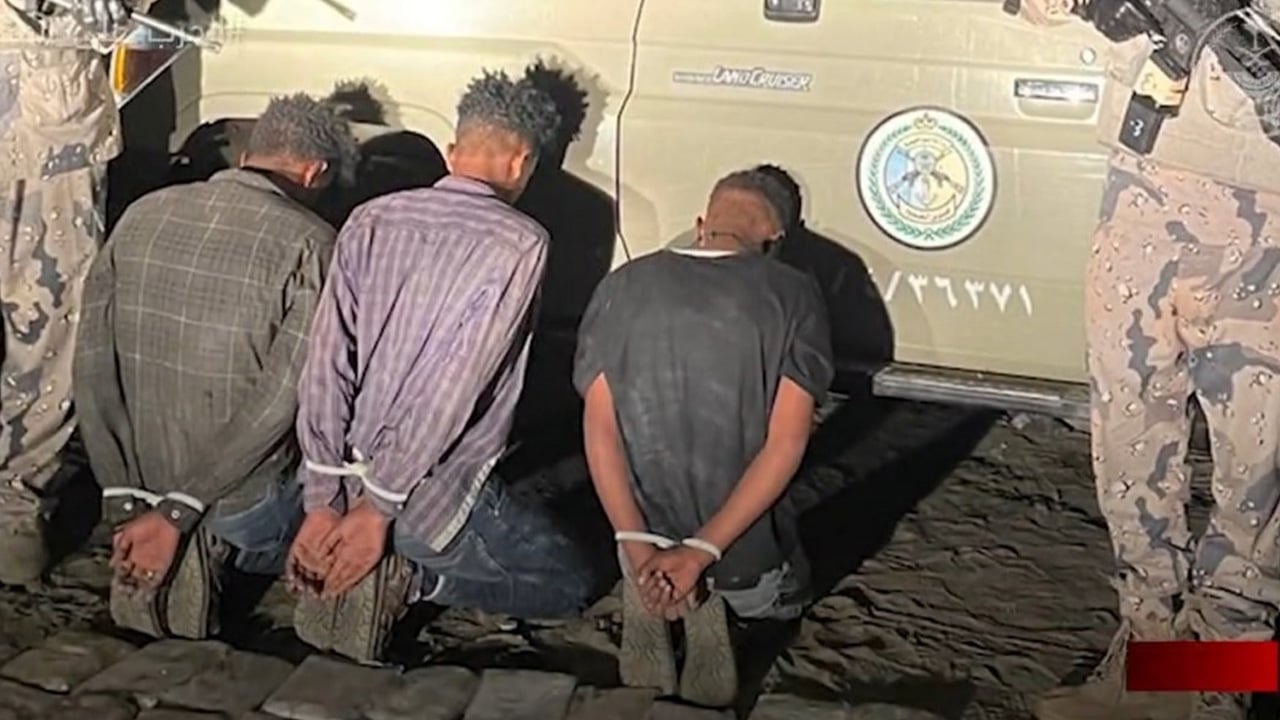 بالفيديو.. إحباط تهريب 547 كيلو حشيش و17.6 طن من القات المخدر في 3 مناطق
