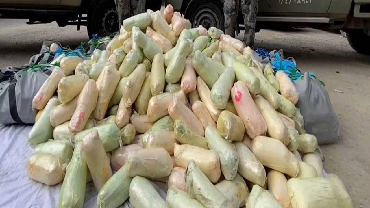 إحباط محاولة تهريب 160 كيلوجرامًا من القات المخدر بجازان

