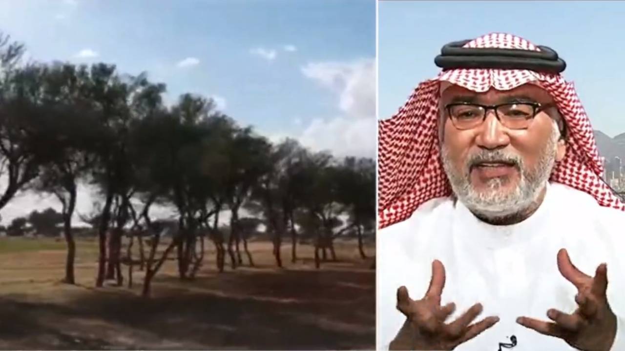 بالفيديو.. مختص بـ«البيئة» يعدد فوائد زراعة 10 مليارات شجرة في المملكة