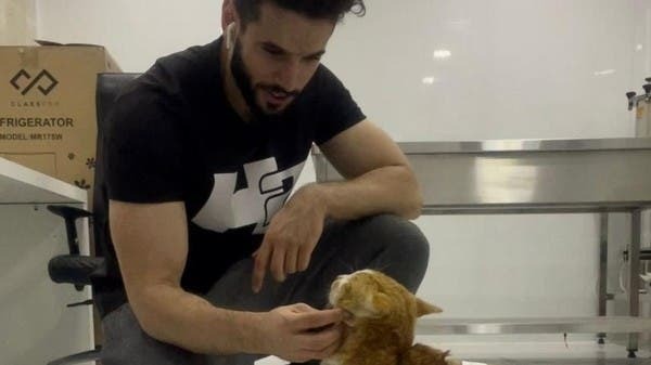 أنقذ 46 ألف حيوان من التشرد.. شاب سعودي يكرس جهوده لإنقاذ القطط

