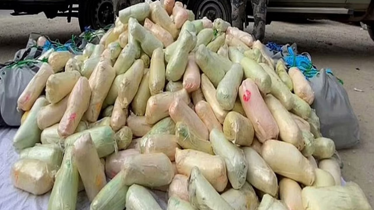 القبض على مواطن بحوزته (114) كيلوجرامًا من نبات القات المخدر في جازان
