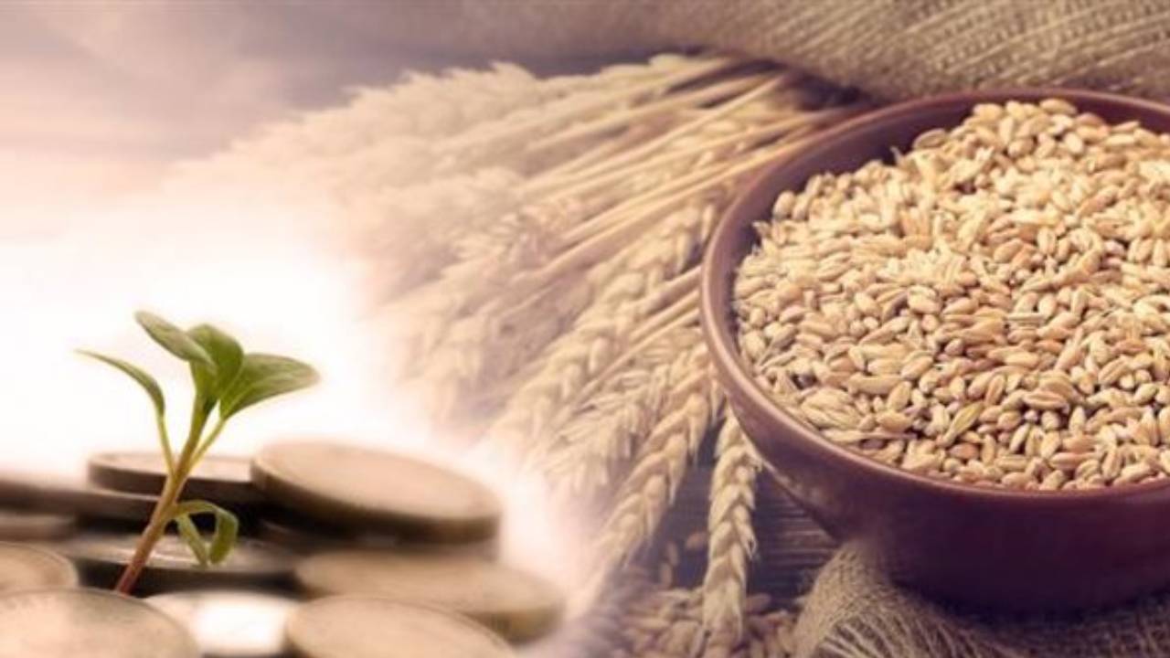 قبل صلاة العيد.. موعد إخراج زكاة الفطر وقدرها وقيمتها 