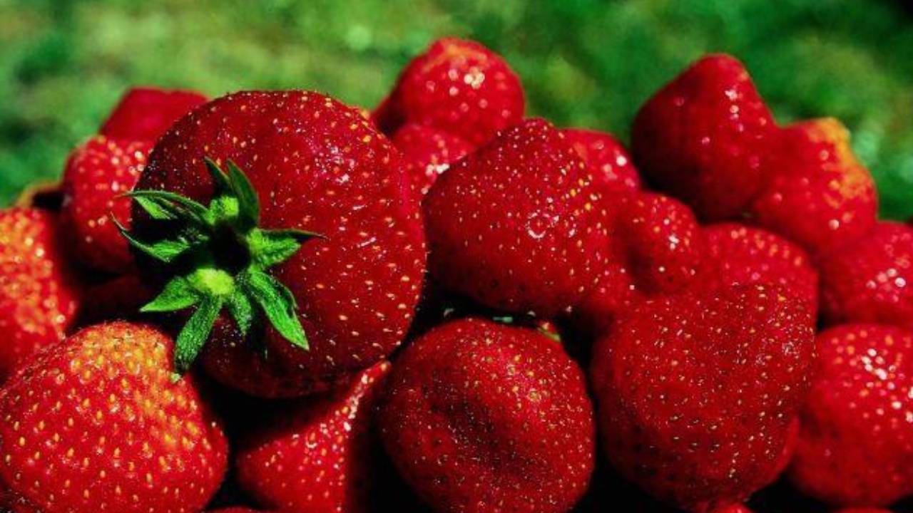 أبرزها الفراولة.. ‏فواكه لا يمكن الاستغناء عنها في ‎رمضان