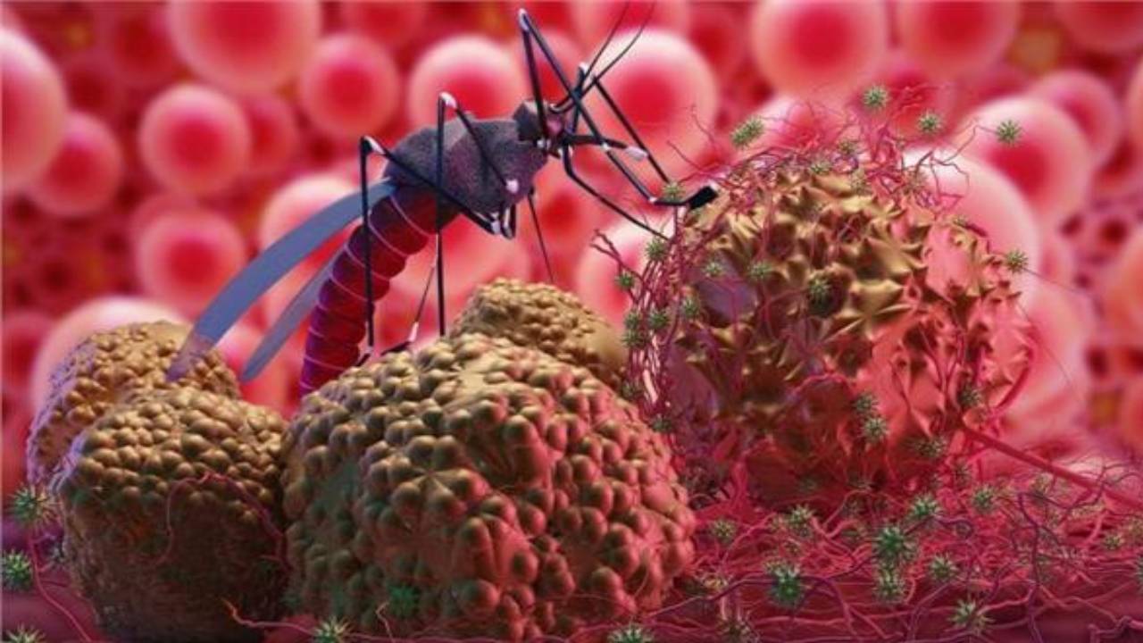 في اليوم العالمي لها.. قائمة أمراض المناطق المدارية المُهمَلة 
