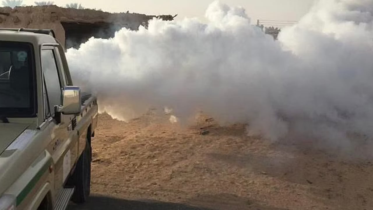 «صحة حائل» تطلق 10 فرق لمكافحة ذبابة الرمل المسببة لمرض الليشمانيا

